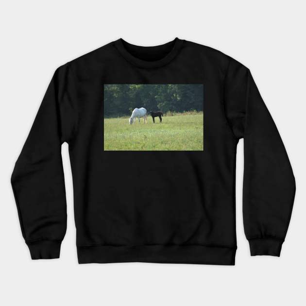 Wild Horse and Foal Crewneck Sweatshirt by MarieDarcy